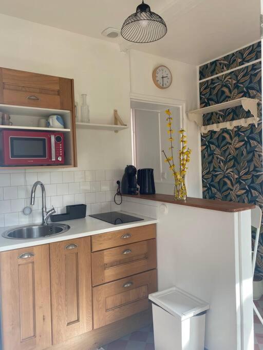 Studio Epicea Avec Jardin Dans Charmante Propriete Méry-sur-Oise Extérieur photo